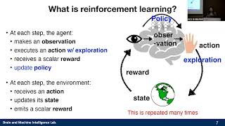LLM Reasoning and Planning for Interactive Environments