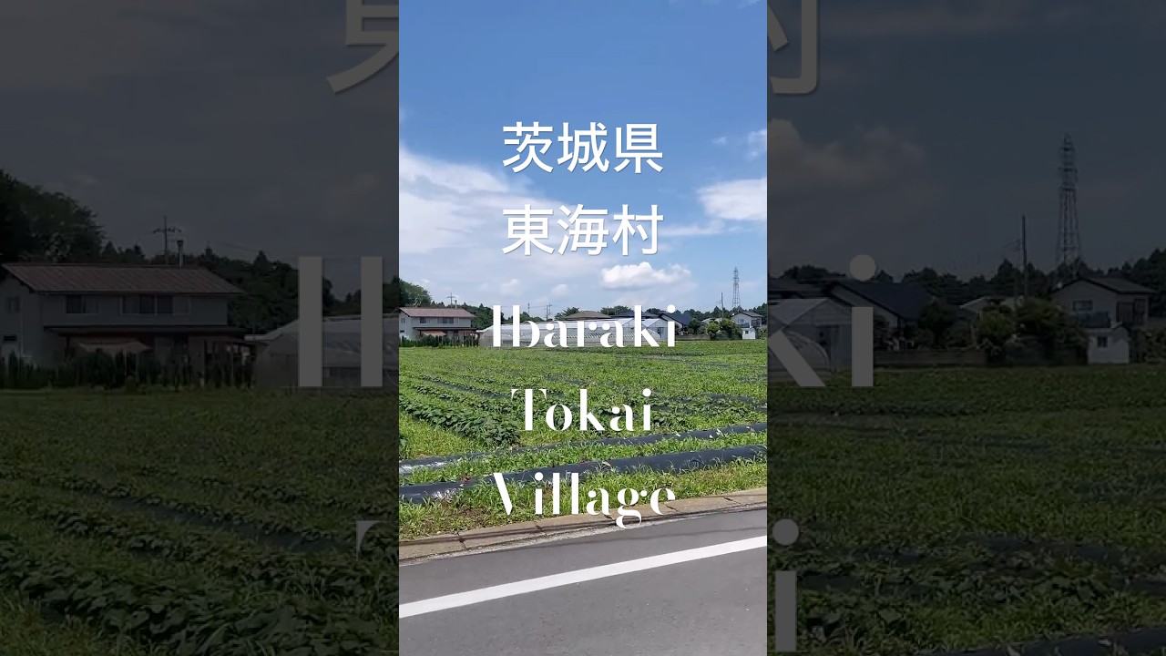 Forgotten Corners of the Village – Peaceful Walk in Tokai | ASMR Japan Shorts 