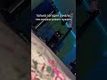 ЭТО ТОЧНО КОТ? Автор видео: fequrl  #комментарии #юмор #мемас #прикол #мем #мемы СМЕШНЫЕ КОММЕНТАРИИ