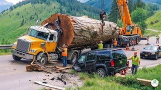 Dangerous Idiots Truck &amp; Heavy Equipment Fails Compilation | Extreme Truck Idiots at Work #10