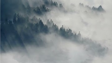 صلاة الجمعة | ما تيسر من سورة الزمر