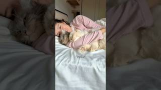 Cuddle Time With A Special Guest Today