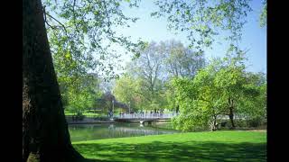 Parkside - Dan Lebowitz