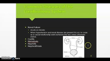 ICD-10-CM Digestive and Genitourinary coding