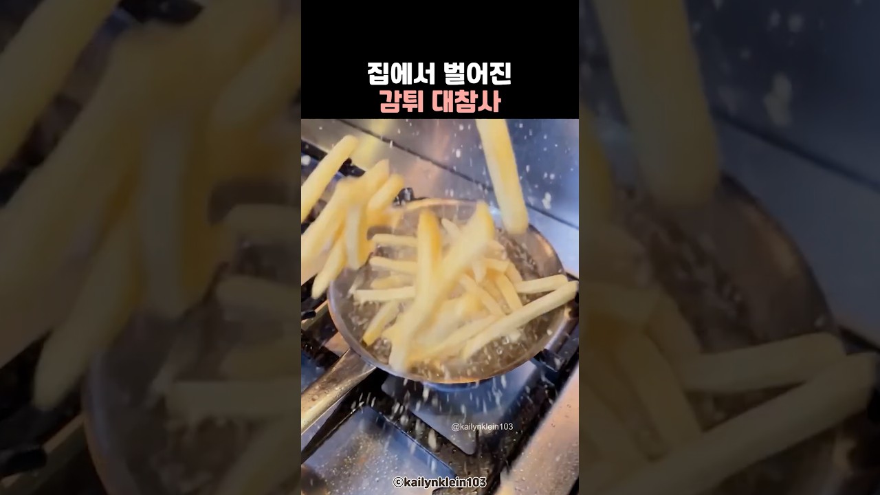 집에서 벌어진 감튀 대참사