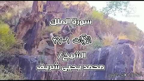 محمد يحي شريف الجزائري، سورة الملك