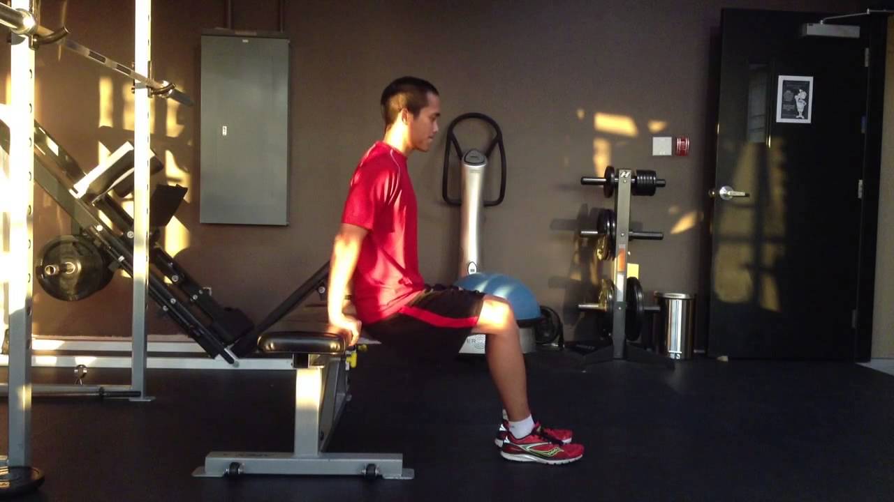 Bench Tricep Dips (knees bent) YouTube