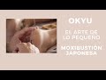 Okyu 🔥 moxibustión japonesa para el insomnio