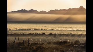 Nature Photography, Art, and Activism