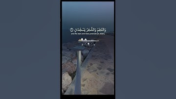 #الشيخ_ياسر_الدوسري #سورة_الرحمن  #القرآن_الكريم #راحة_نفسية #تلاوة_خاشعة #اكسبلور #explore #short