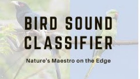 Bird sound classifier Arduino Nano33 BLE sense Demo