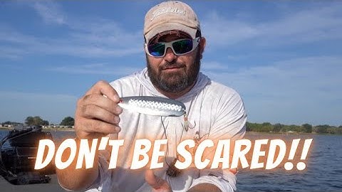 Ultimate Guide To The Big Bass Bait 50% Of Anglers Are Scared To Throw! Lake Fork Flutter Spoon Tips