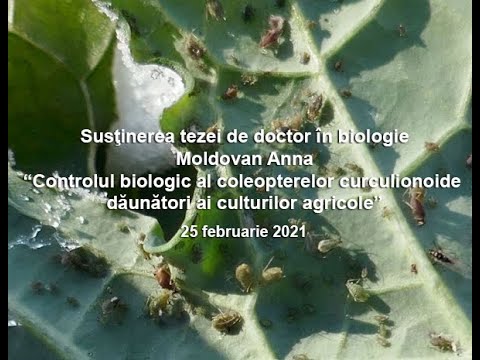 Susţinerea Tezei de Doctor în biologie - Moldovan Anna