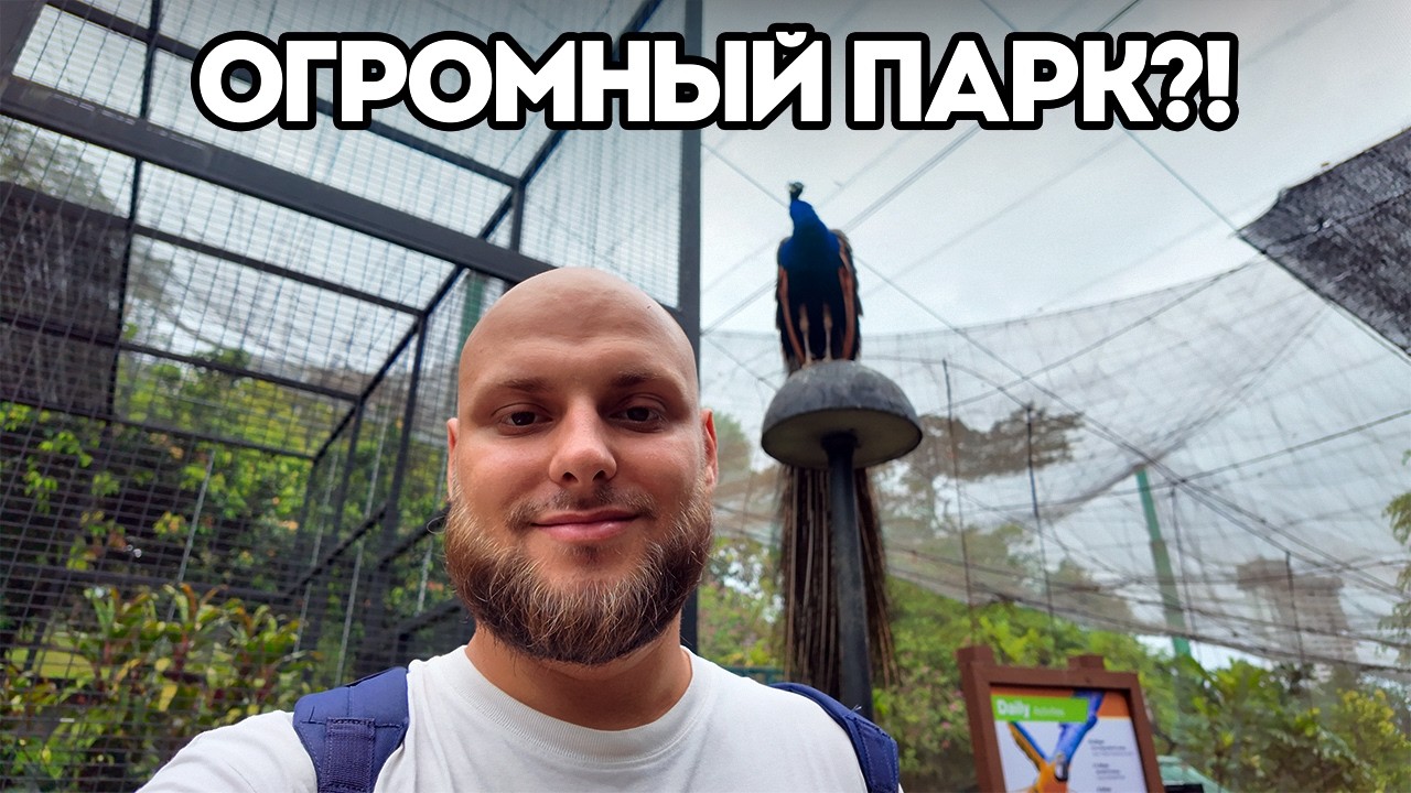 Парк птиц в Куала-Лумпуре | Kuala Lumpur Bird Park 2026