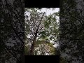 #TrustTheProcess #DivineTiming #GodsPlan #viralreels #trending #viralvideo #trendingvideos #video