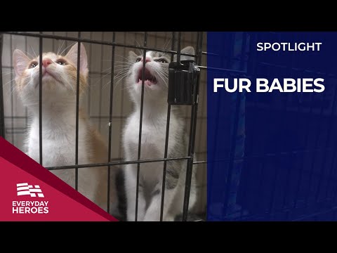 Transforming Lives: The Inspiring Story of a Thrift Store Animal Rescue