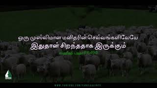 This will be the best wealth for a Muslim | Tamil Aalim Tv screenshot 3