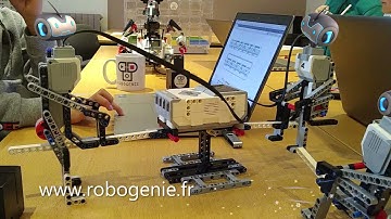 Robot balançoire : modélisé, construit et programmé par des enfants / ROBOGENIE école de robotique