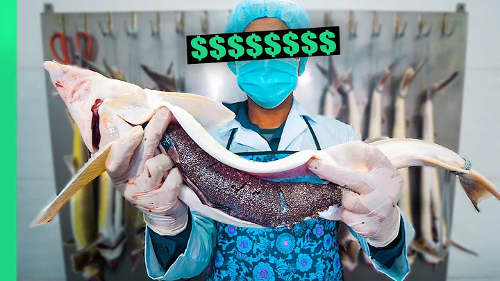 Why Caviar is so DANG Expensive!!! From Farm to Fine Dining!!