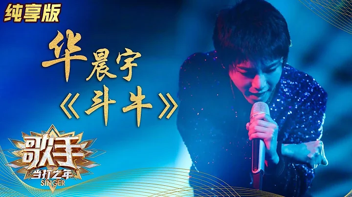 【純享版】華晨宇《鬥牛》 超燃舞台 致敬生命！ 《歌手·當打之年》Singer 2020【湖南衛視官方HD】 - 天天要聞