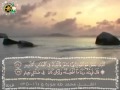الشبل محمد طه سورة ق 