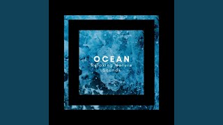 Sleepy Ocean Rumble