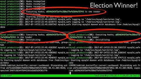 MySql Cluster with Habitat!