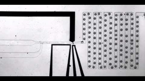 ARAbate, picoinjection of drops