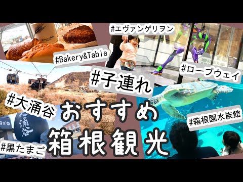 【箱根観光】子連れ箱根旅行1泊2日のモデルコース紹介！【Vlog】大涌谷〜桃源台　ロープウェイ