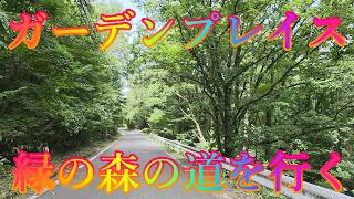 いい夏山陰 8月7日 金曜 晴れ 森林住宅の街 #ガーデンプレイス 緑の森の道を行く 日本 鳥取県西伯郡伯耆町丸山 大山ガーデンプレイス @WalkingYoshi