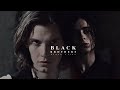 Sirius & Regulus | Black Flies