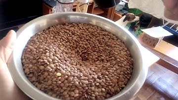 Proyecto - Sistema de Control Automático Retroalimentado - Control de masa de sólidos - PUCV