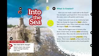 Grade 2  Reading Unit 4 Lesson 2   into  the sea