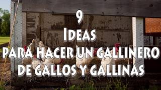 9 ideas para hacer un gallinero de gallos y gallinas