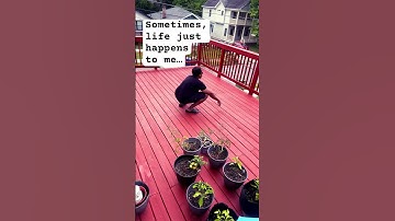 Sometimes, life just happens to me.:. #Logic #SnohAlegra