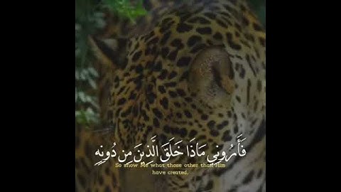 تلاوة قصيرة من القران الكريم بصوت جميل جدا حالات واتس قرأن