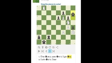 against 2 queens. knight rook #checkmate #chess