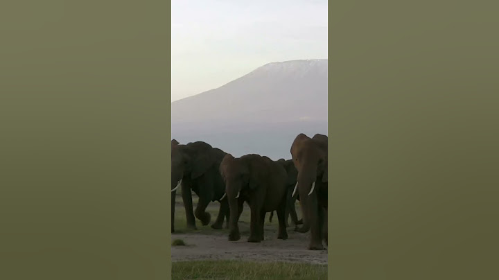 The Mystical Ngorongoro Crater