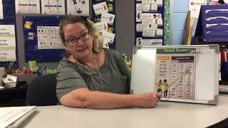 Vowel Teams/ Digraphs and Unusual Consonants Poster Review