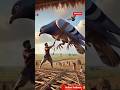 A big pigeon enters the village | True story of the pigeon and the hen 😭 #ai #hen #pigeon #farmer