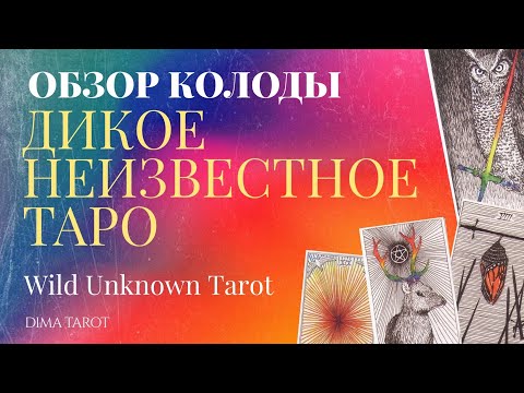 ⭐️НЕДОСТАТКИ НАЛИЦО! Чем мне не угодила колода ДИКОЕ НЕИЗВЕСТНОЕ ТАРО? Разбор колоды