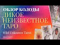 Обзор колоды "Дикое Неизвестное Таро". Преимущества и недостатки