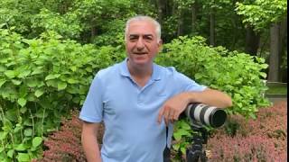 Nature Photography By Reza Pahlavi