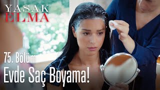 Aysel, Zehranın Saçlarını Boyuyor - Yasak Elma 75. Bölüm