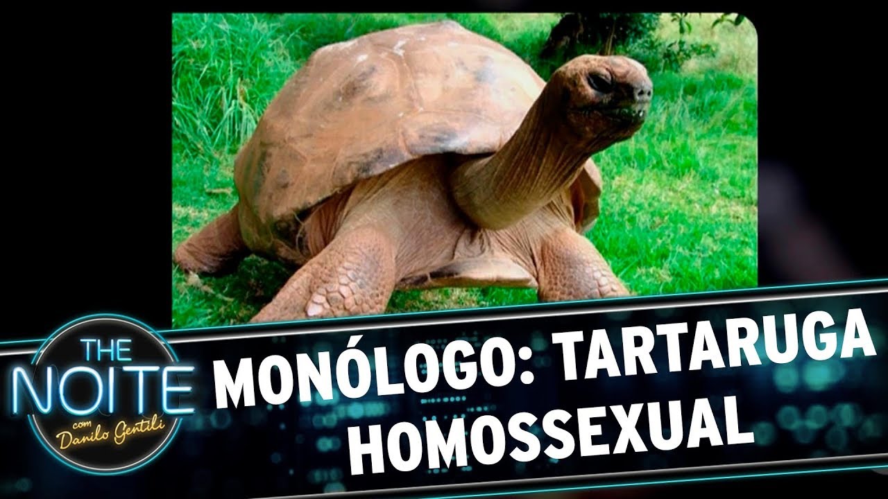juliana salazar Monólogo: Tartaruga gay | The Noite (01/11/17)