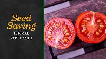 Seed Saving Tutorial Part 1 and 2