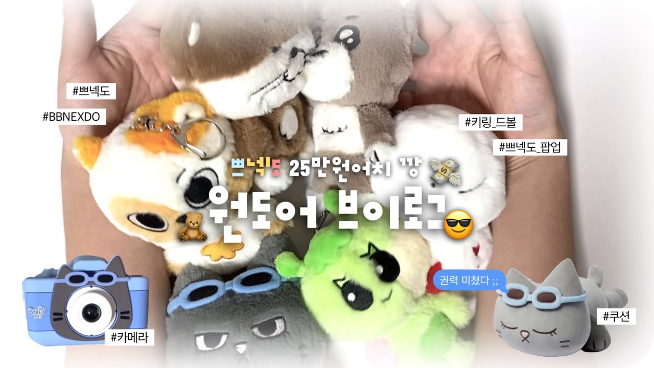 [ 원도어 브이로그 ] 쁘넥도 드볼? 제가 해냈습니다 ∿ ෆ | BBNEXDO • 쁘넥도 • 팝업 • 키링 드볼 • 쿠션 • 카메라 •  원도어로그 • 덕질 브이로그