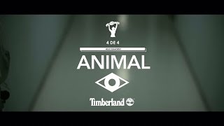 Video thumbnail of "Hello Seahorse! - Animal"