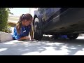 Rescued cat discovered to have multiple gunshot wounds, Meadowview, Sept. 1, 2015