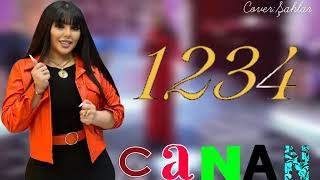 Canan - 1 2 3 4 Ayaq Yere Deymesin Her Kesin Xosuna Gelecek Sen Toy Mahnisi Yeni 2024 Dinleye Deyer